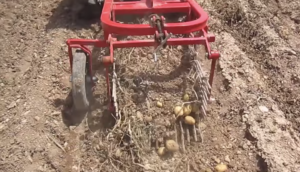 Potato Harvester - Digger Diagram